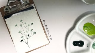 작은 별을 닮은 식물 일러스트, watercolor botanical