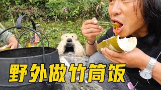 野外煮竹筒饭，用棕榈树叶做筷子，快吃成饭桶了！【流浪的独孤老狼】