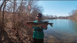 GIANT Pickerel caught under HIGHWAY BRIDGE(NEW PB!)