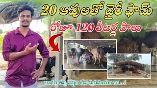 ఒక ఆవుతో స్టార్ట్ చేసి 20 ఆవులు పెంచుతున్న రైతన్న | Madhu Undadi Vlogs | Dairy Farming in Telugu