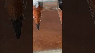 How to make Hydrogen and Oxygen from water? 😱 Electrolysis #shorts