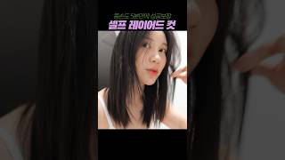 중단발 셀프 레이어드컷 (무조건 성공보장) #셀프레이어드컷 #selfhaircut #shorts