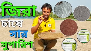 জিরা চাষে সার সুপারিশ ও জমি প্রস্তুত||জিরা চাষ পদ্ধতি!!!