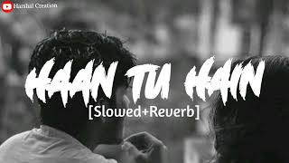 Haan Tu Hain [Slowed+Reverb]-Harshal Creation \\ Text Audio \\ Lyrics Lofi#haantuhain #lofisong