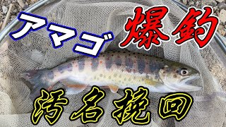 渓流解禁から一週間。追加放流でアマゴ爆釣で前回の汚名挽回