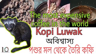 পশুর মল থেকে তৈরি হয় সবচেয়ে দামি কফি|Kopi Luwak|Expensive coffee in the world|5minute crafts