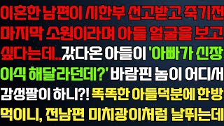 (반전 신청사연) 이혼한 남편이 입원하고 소원이 있다며 아들 얼굴을 보고 싶다는데 갔다온 아들의 한마디에대갚음 하는데/라디오드라마/사연/실화/사연의 품격/썰