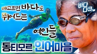 냉장고에서 꺼내먹 듯, 바다에서 물고기 꺼내먹는 동티모르 해녀들│눈 뜨면 바다만 보이는 작은 섬마을, 육지보다 바다가 편한 인어마을│동해 방어잡이│#바다다큐