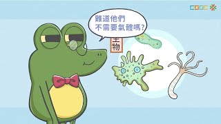 108新課綱｜國中七上生物｜【觀念】動植物的呼吸構造