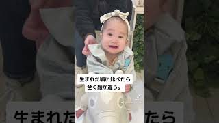 #修一朗ボイス #双子 #赤ちゃん #赤ちゃんのいる生活 #仲良し #ふたごのいるくらし #生後8ヶ月 #baby #成長#成長記録