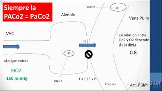 Presión Alveolar de Oxigeno Fisio UBA