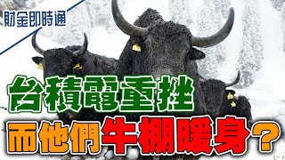 財金即時通-20210716／台積電重挫 而他們牛棚暖身？