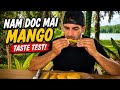 One of the Most Popular Mangoes… But Is It Good?