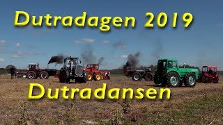 Dutradagen 2019 Dutradansen