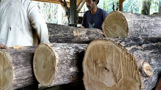 Produksi masal' kayu jati senilai 10 jt lima batang bahan kusen rumah kavling | Sawmill