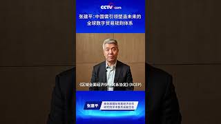 张建平：中国需引领塑造未来的全球数字贸易规则体系 | CCTV