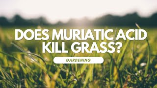 Will Muriatic Acid Kill Grass?