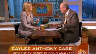 Caylee Anthony Case Analysis