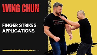 Wing Chun - Finger Strikes Applications - Kung Fu Report #323