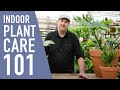 Tropical Plant Care Made Easy 🌱 || West Coast Gardens