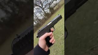 Polish Tokarev wz 33360p