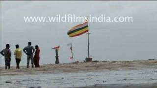 Temple in the sea? Bhavnagar