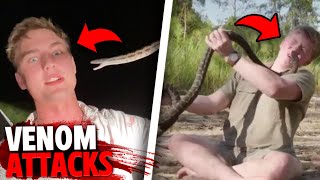 These 3 Snakes Fatally INJECTED People With DEADLY Venom!