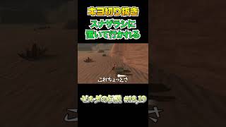 モルドラジークに撥ねられまくり神獣の元へ辿りつかないキヨ　ゼルダの伝説 BotW #18,19 #shorts