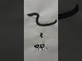 關於乙巳蛇年的各種字和意象 蛇年 新年快樂 lunarnewyear 蛇年 calligraphy 書法 書道 農曆新年