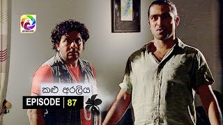 Kalu Araliya Episode 87  || කළු අරලිය   . . . | සතියේ දිනවල රාත්‍රී 10.00 ට ස්වර්ණවාහිනී බලන්න...