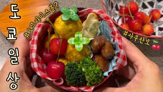 오므라이스볼 도시락🌞 아귀찜 만들기 | 도쿄 맛집&카페 | 코스트코 장보는 일상 브이로그