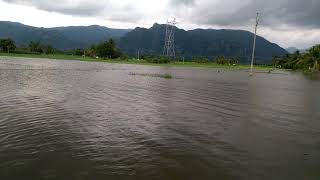 Flood on rice field