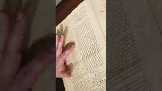 Rare copy of US Constitution sold for millions #history #northcarolina #national