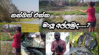 නන්ගිගේ මාලූ ඇල්ලිල්ල😅🥹 #fishing