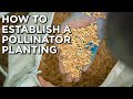 How To Properly Establish A Pollinator Planting!!