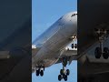 Lufthansa Airbus A340-313 Landing at LAX airport plane spotting closeup