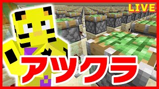 【アツクラ】月例最終調整！完璧にする！【マイクラ】