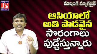 ఆసియాలో అతి పొడవైన సొరంగాలు పూడ్చేస్తున్నారు #thetruth