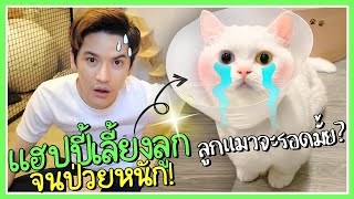 แฮปปี้ป่วยหนัก ลูกแมวจะรอดมั้ย 😢 | ติดเต๋า