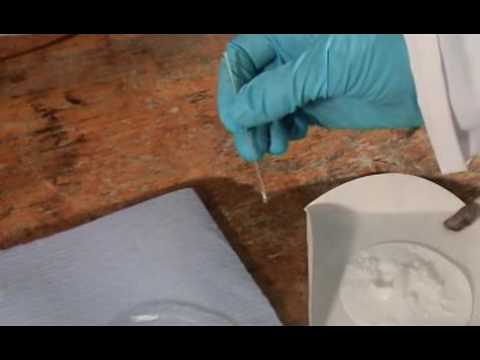 What determines an elements melting point?