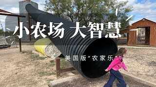 【美国家庭农场】American family farm小农场，大智慧！夫妇俩从教师岗位辞职开农场，如何因地适宜“盘活”小农场？农家乐有哪些可以做的？