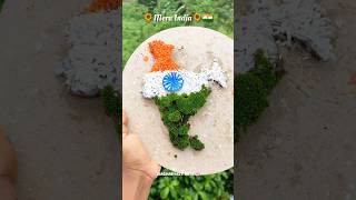 🫡Independence Day🇮🇳 Special Craft ||  Tricolour Craft 🇮🇳 #shortsideas #newshorts #craft