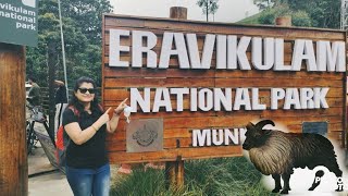 Eravikulam National Park Munnar Day 3 | Top Tourist Destination in Munnar