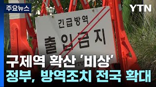 구제역 방역조치 전국 확대...20일까지 긴급 백신접종 / YTN