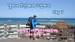 백패킹 걸어서 부산에서 고성까지 Day 7 | 해파랑길 11코스, 12코스 | 난해한 코스안내