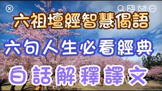 《六祖壇經》智慧偈語，六句人生必看的經典！白話解釋