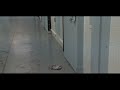 24 Hours Inside Adult & Juvenile Prisons A Raw Look From the Inside