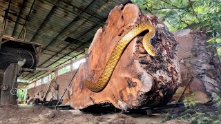 Inside London’s Largest Sawmill ‼️ Watch Epic Machines Cut Through Massive Logs