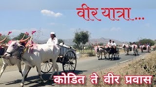 वीर यात्रा | Veer Yatra | कोडीत ते वीर पायी प्रवास, बैलगाडा छबिना | Shrinath Mhaskoba Yatra