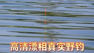 山东盛夏野钓真实现状